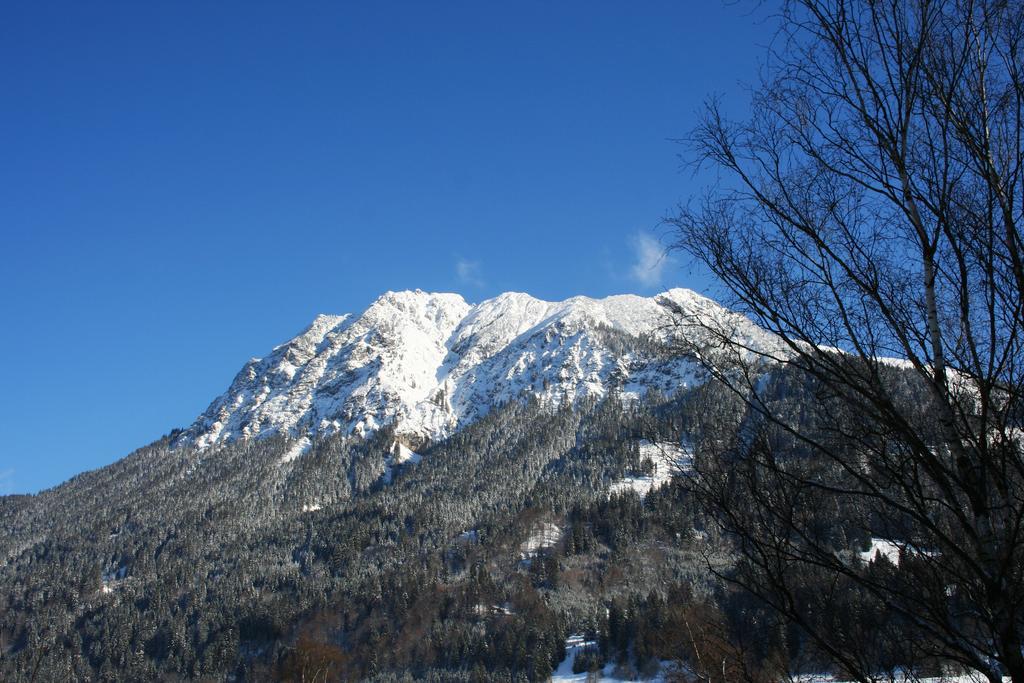 Haus Partale Daire Oberstdorf Dış mekan fotoğraf